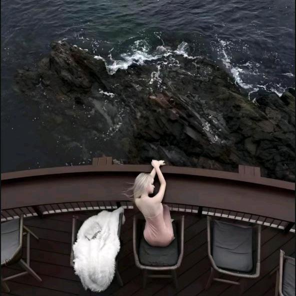 天津顺势信息科技有限公司