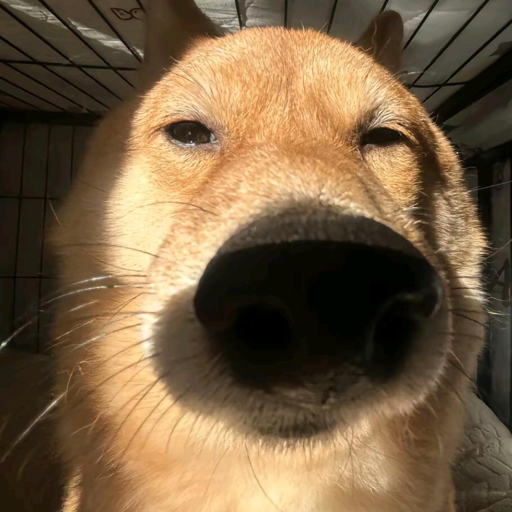 泡泡糖嚼两个。