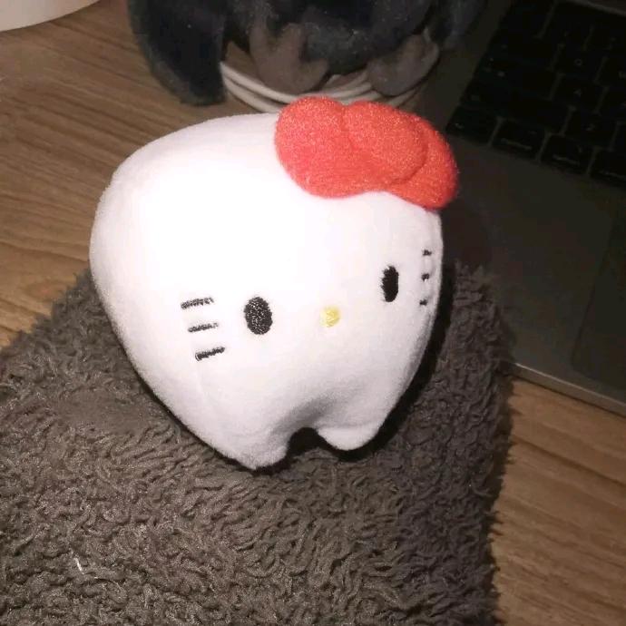 纯情母蟑螂离异带俩娃（招上门女婿）