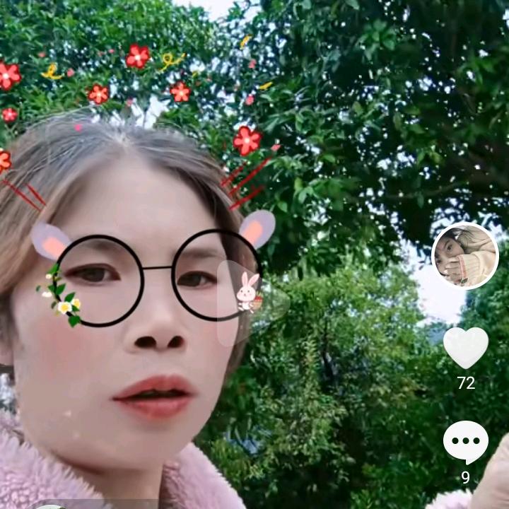 文林芳