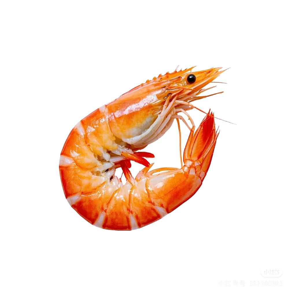 虾🍆