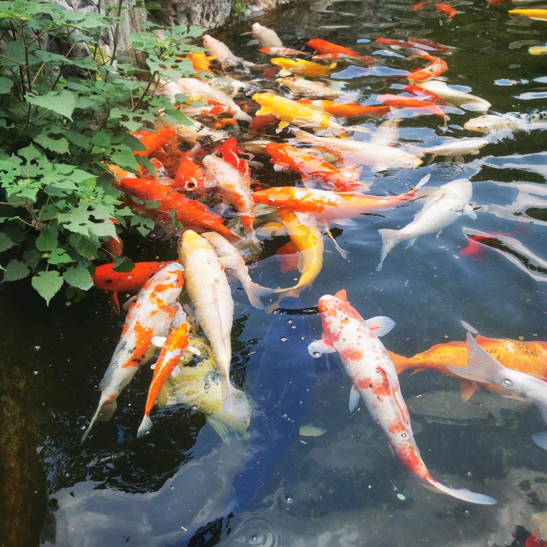 雨后彩虹🌈
