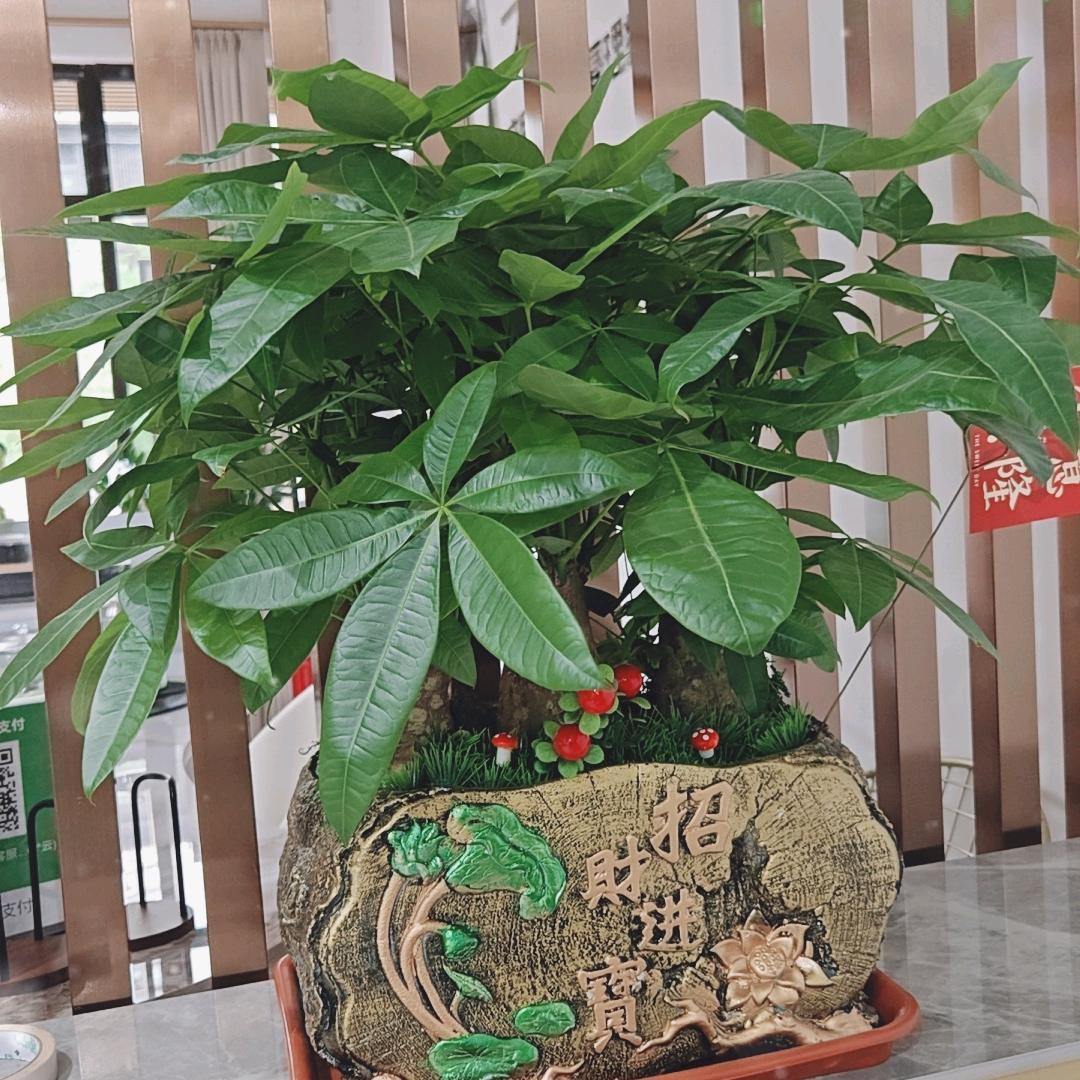 如意法珠