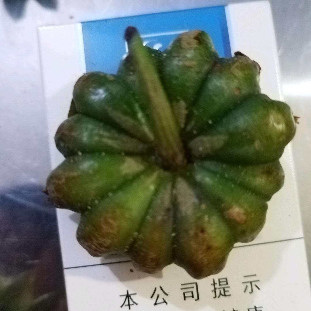 梁伟群