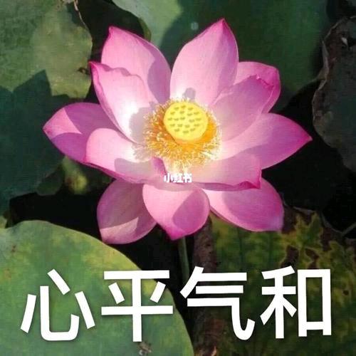 王姐