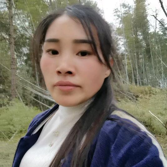 思诗