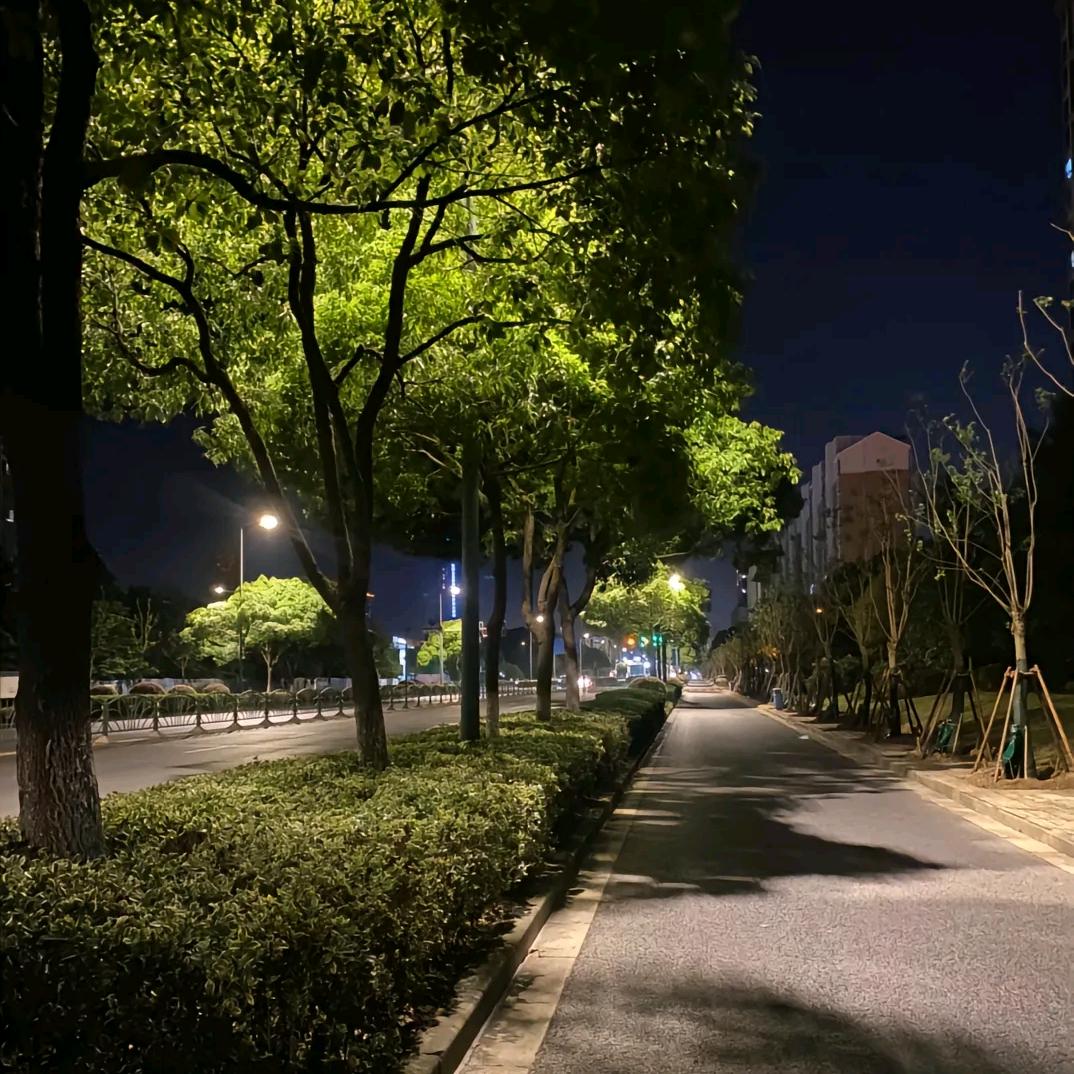 悲观着永远正确