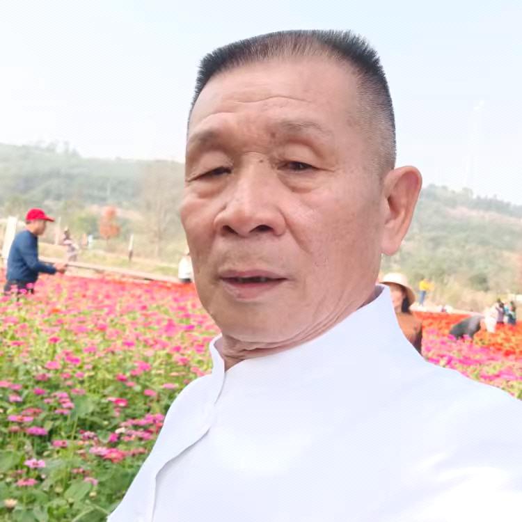 江湖最后一盏灯