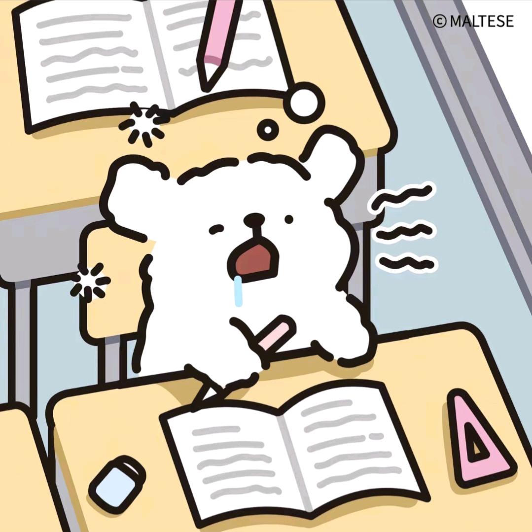 小y.