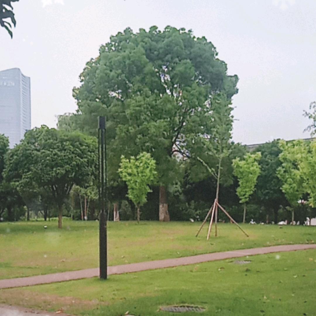 学无止境