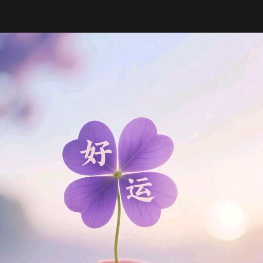 觅觅寻寻