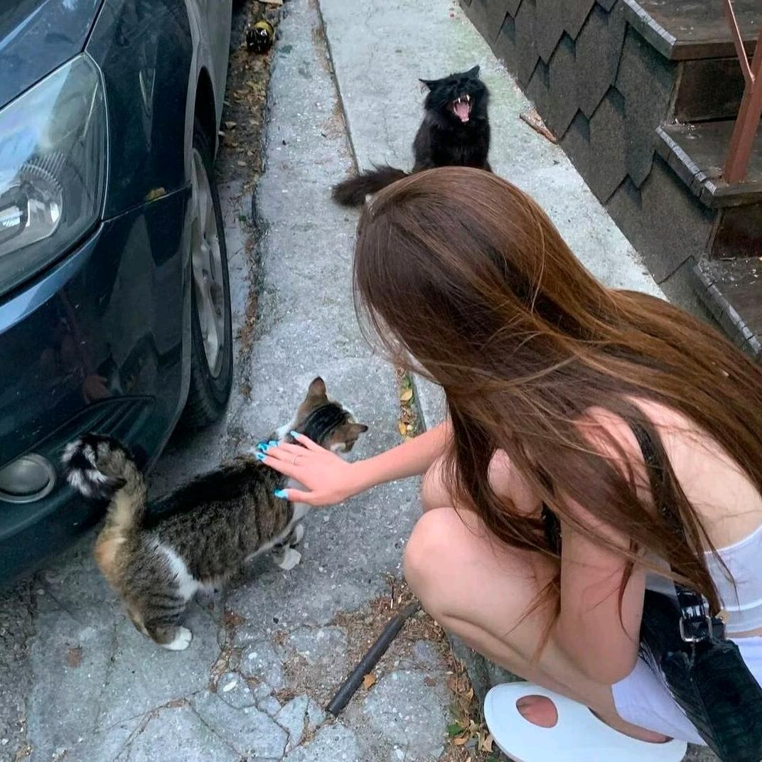 什么英