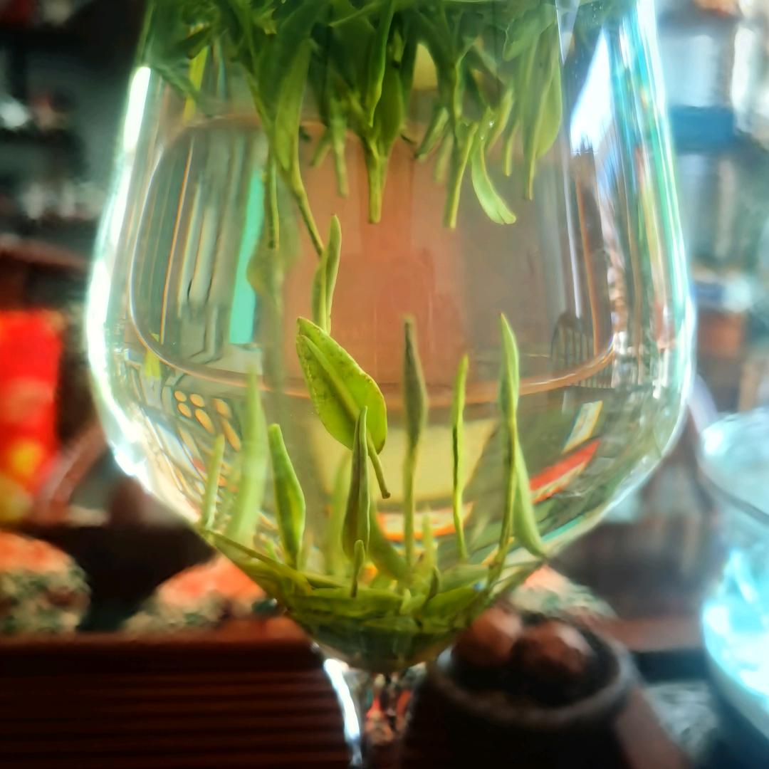 共饮一杯清茶