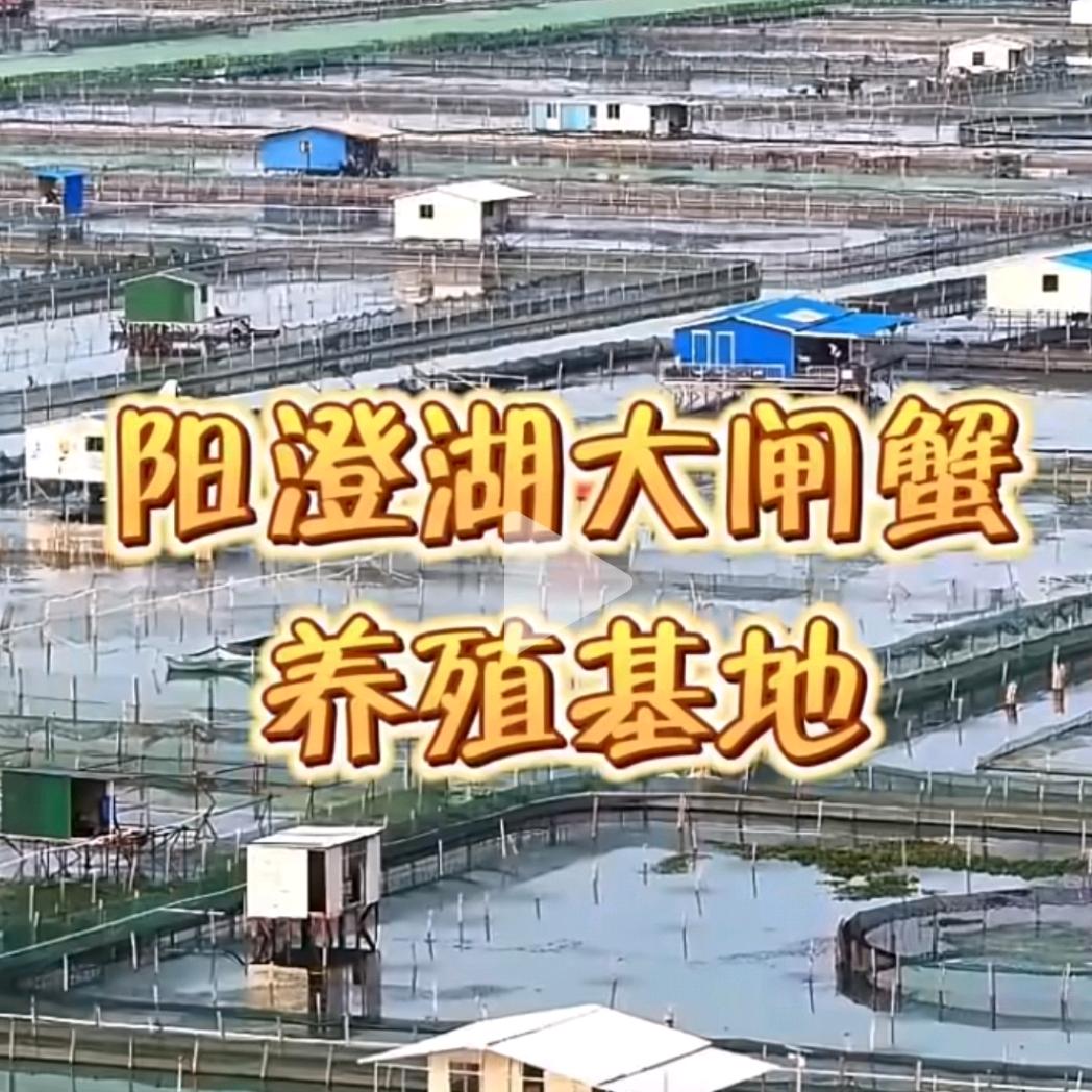 多才多艺韩同志