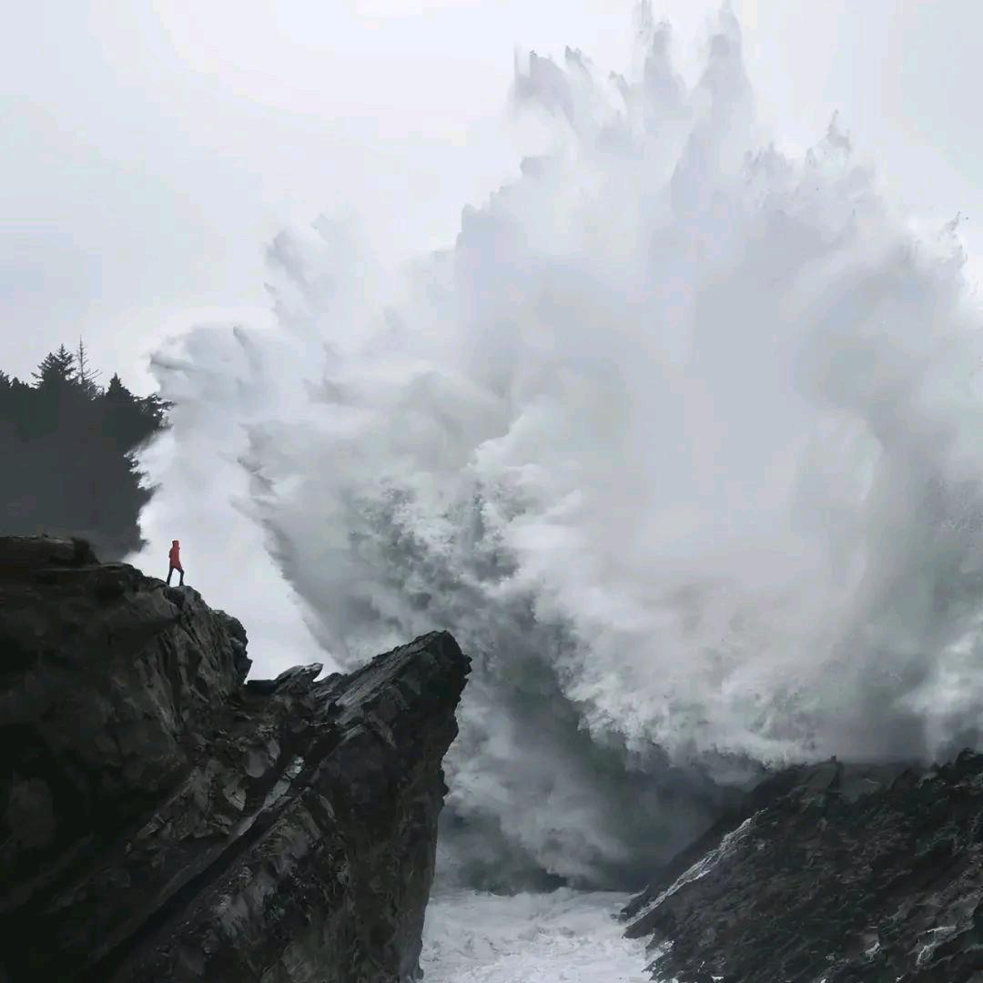 琦玉.