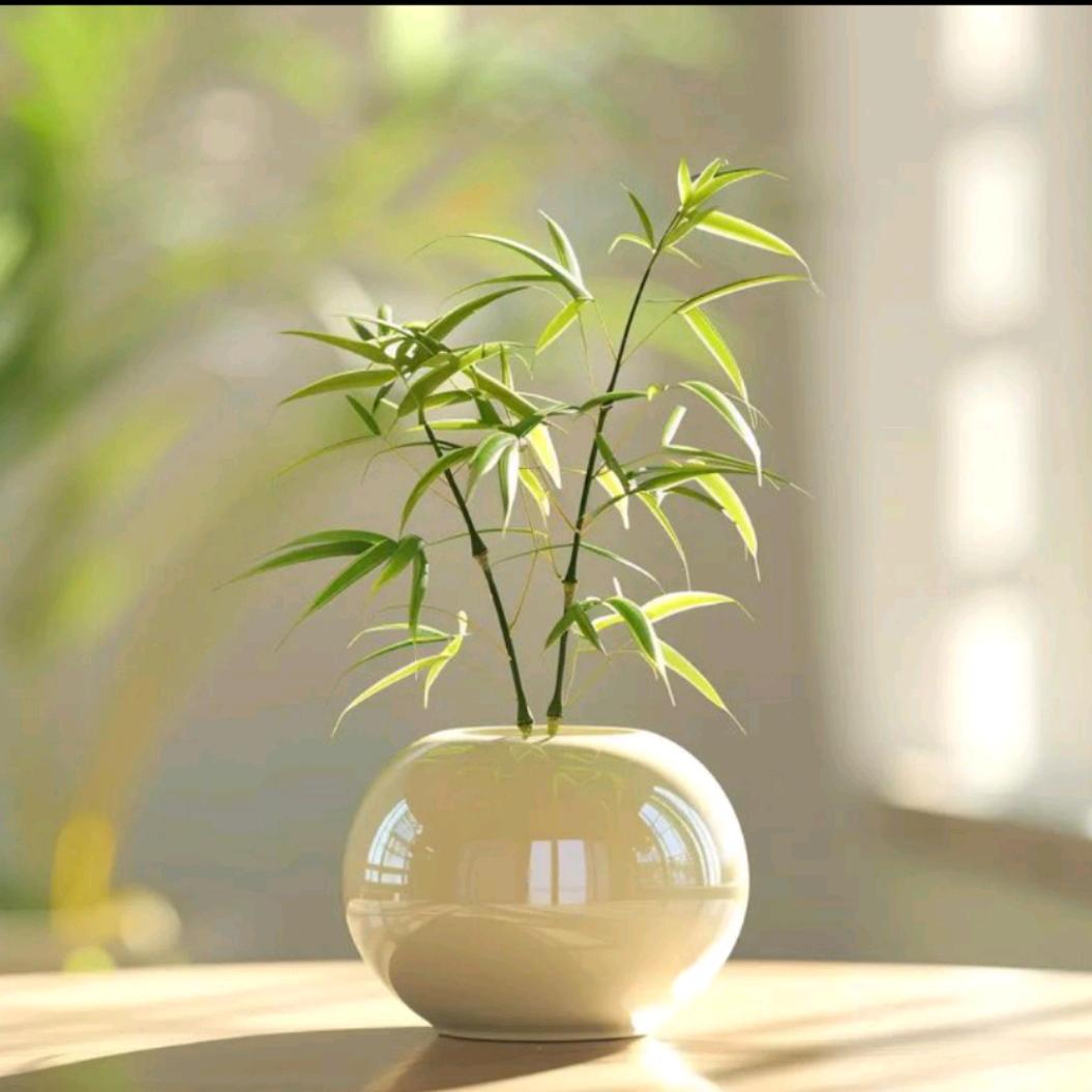 尘世禅心