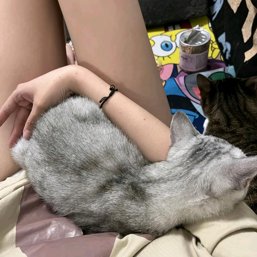 晚风很温柔