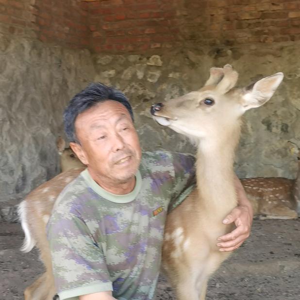 吉兴鹿场