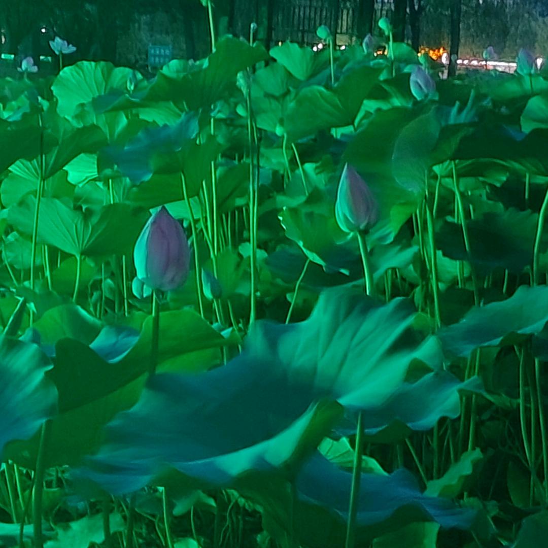 我的未来我做主