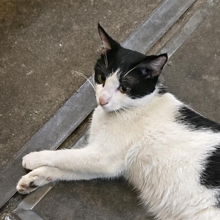 好朋鱿水产大王