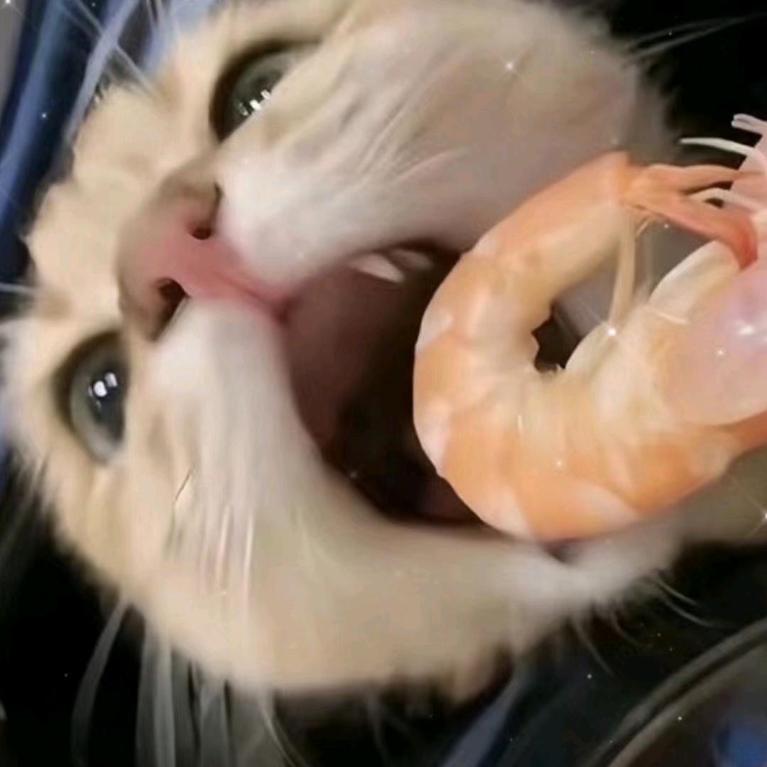 耀耀同学