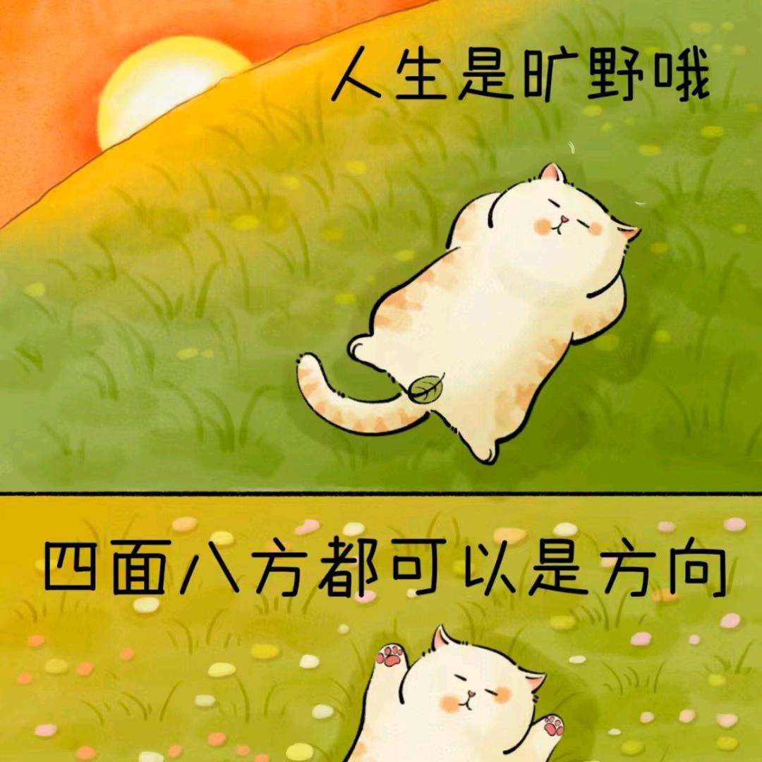 大脸杨老师