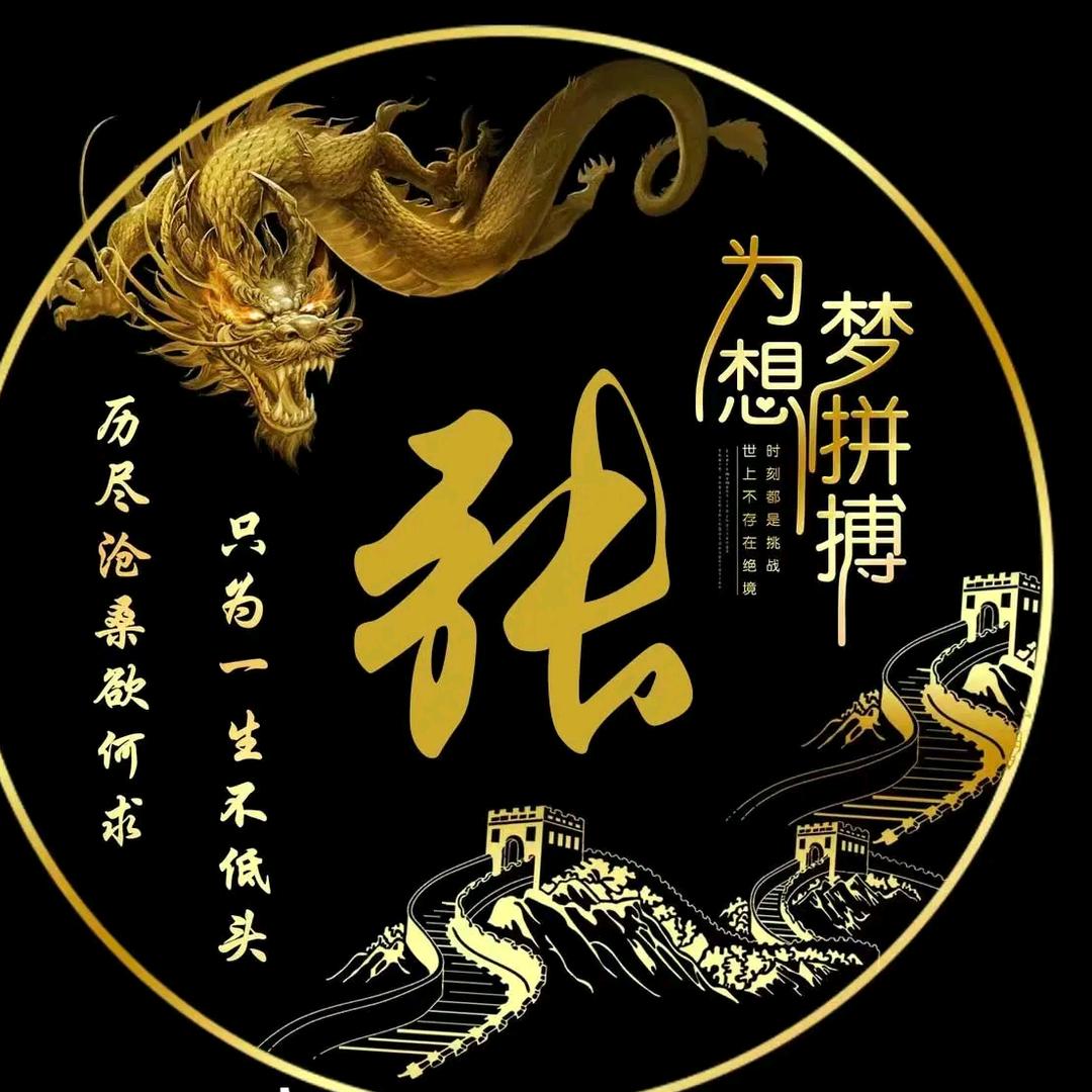 鹏翼高飞