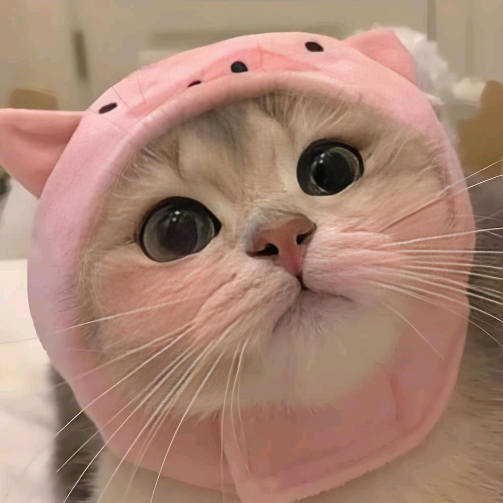 番茄不炒西红柿