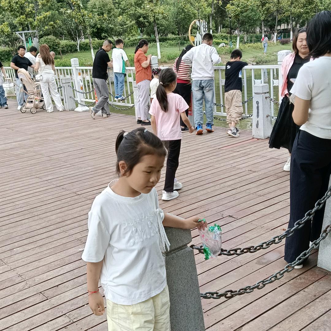 莲宝
