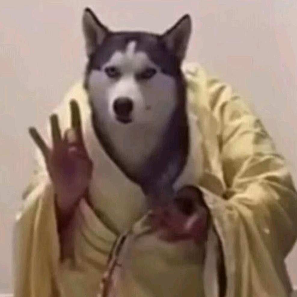 打洲的煎饼狗子