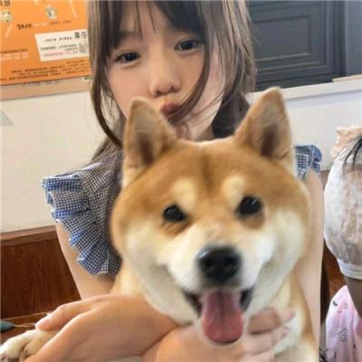 悸露屿y