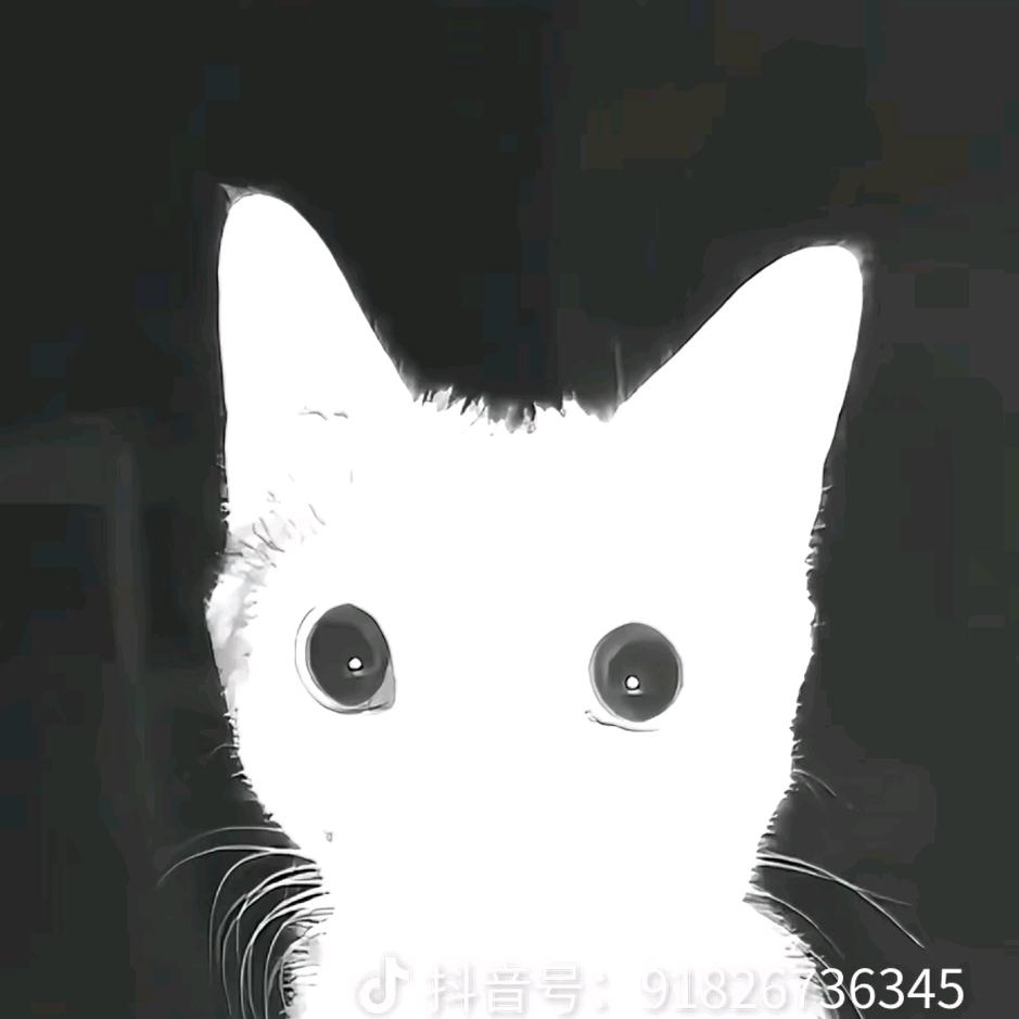 .安柯