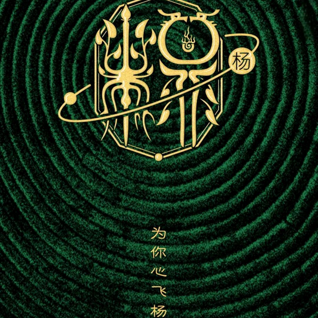 南充小杨哥