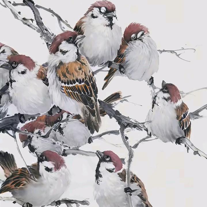 权