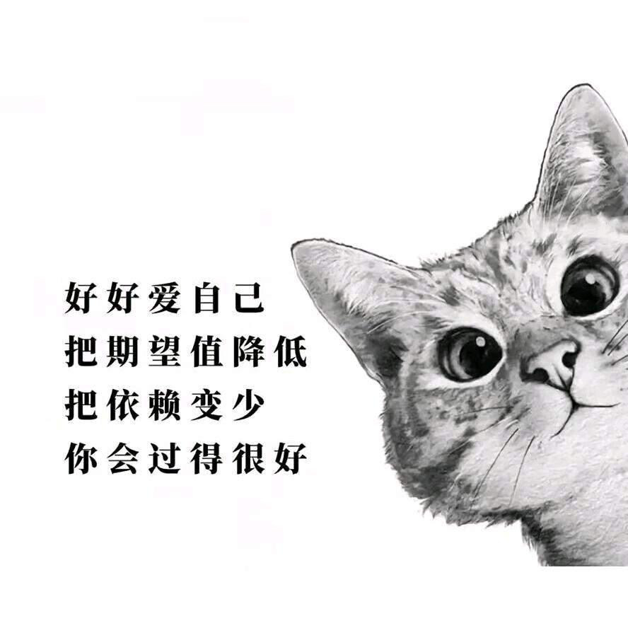 愉快的小喵