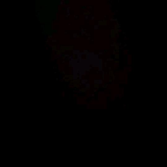 ………执着