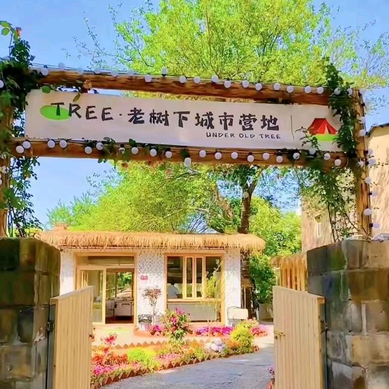 老树下•城市营地