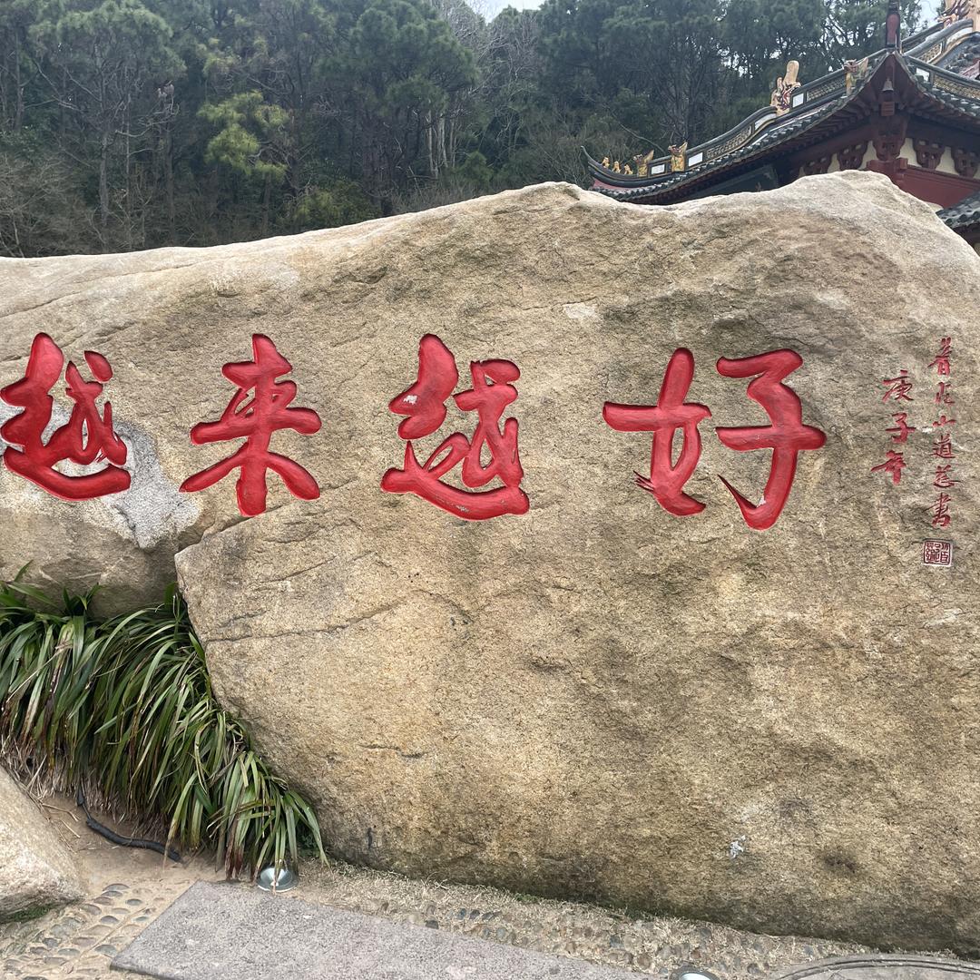越来越好🌻🌹🌸☘️🏵️🌻