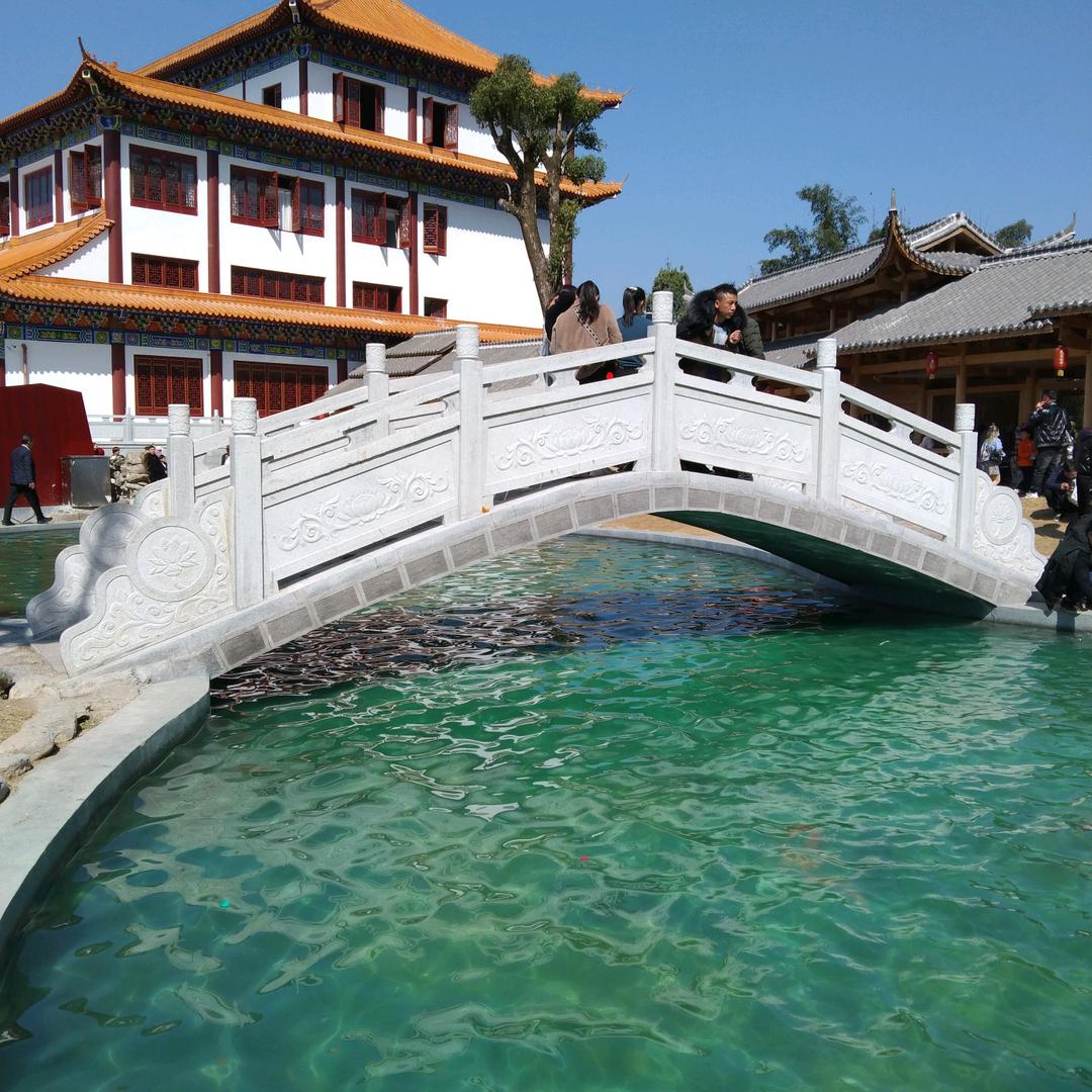 杨姐