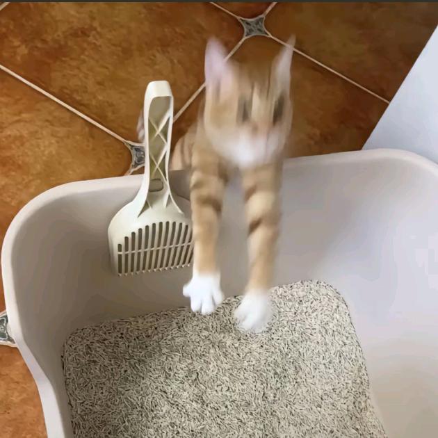 迷你世界~✨紫薇学长✨