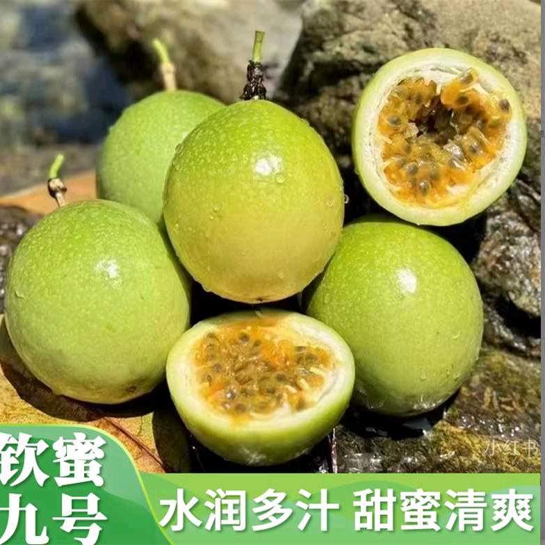 玲靖鲜果园