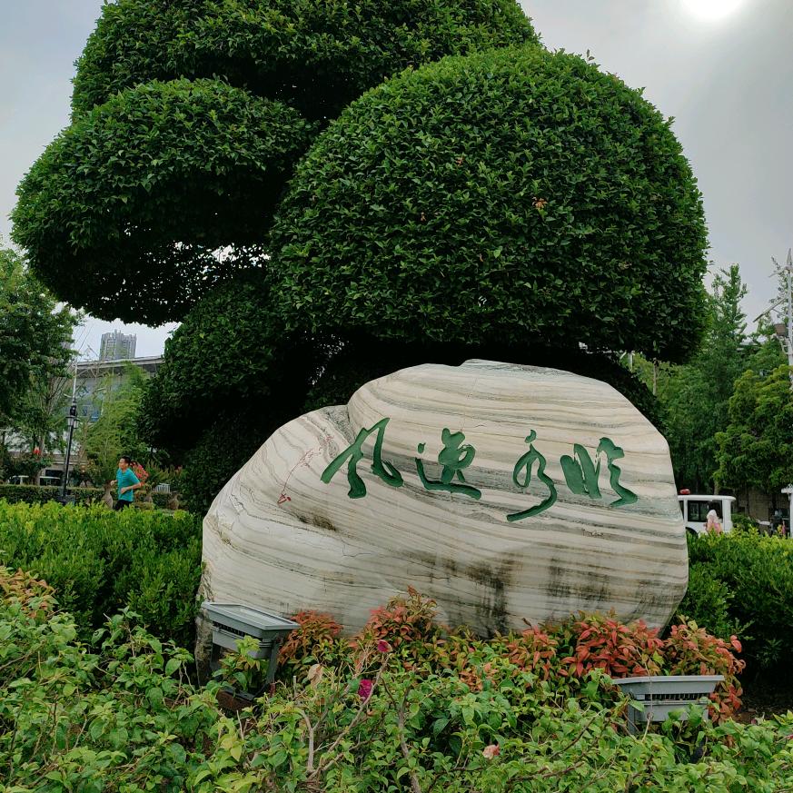 毛姐