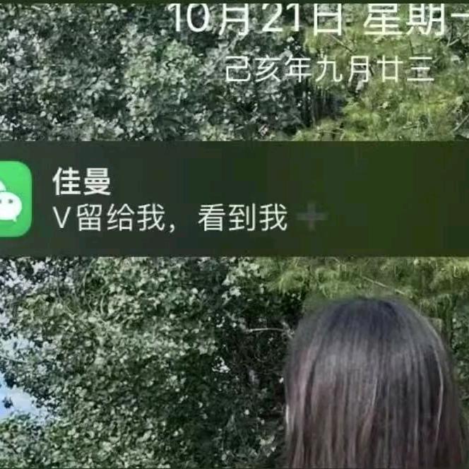 情231