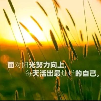 放下执念，随缘