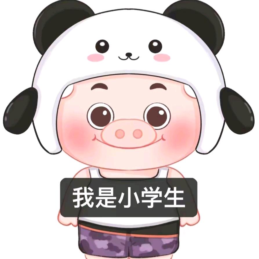 猪儿飞飞（备考版）