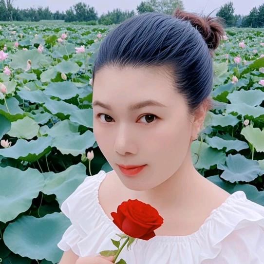 如果你愿意