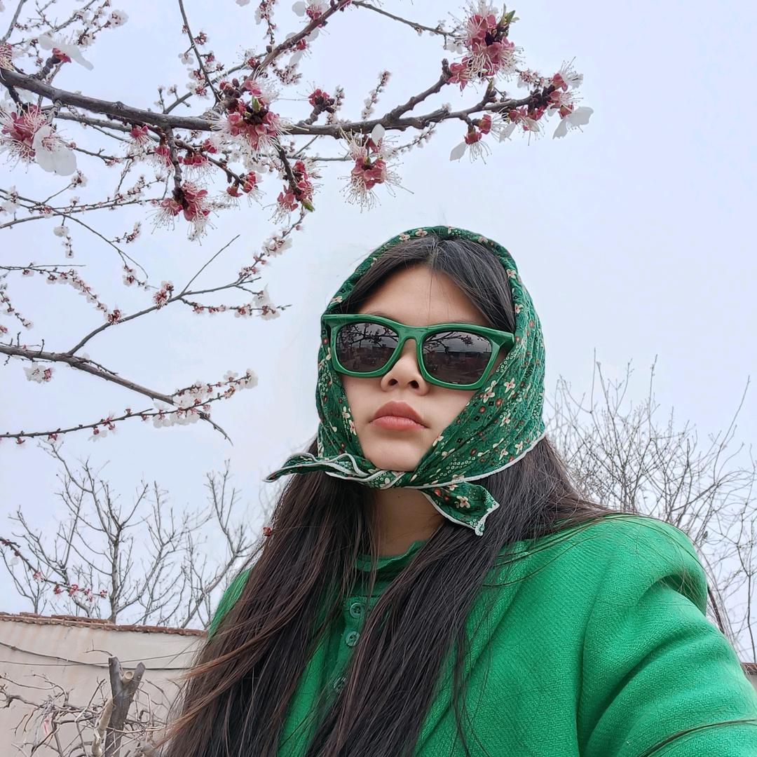 绿色的绿