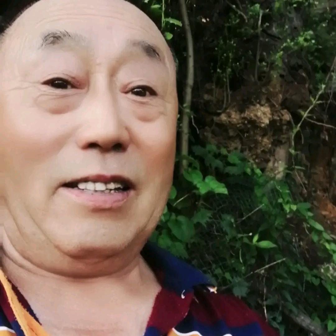 万年欢