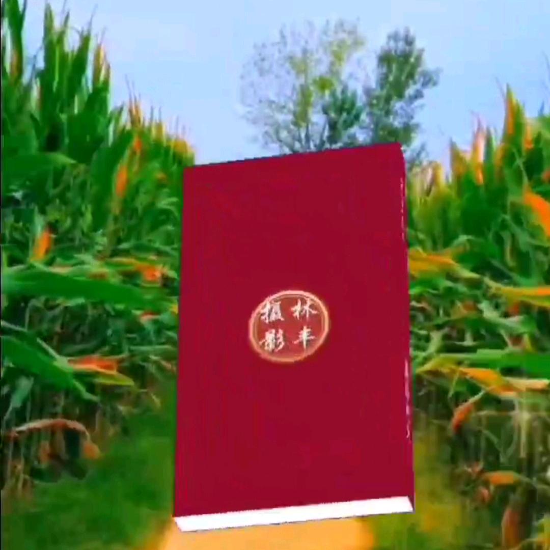 无心的结果头像