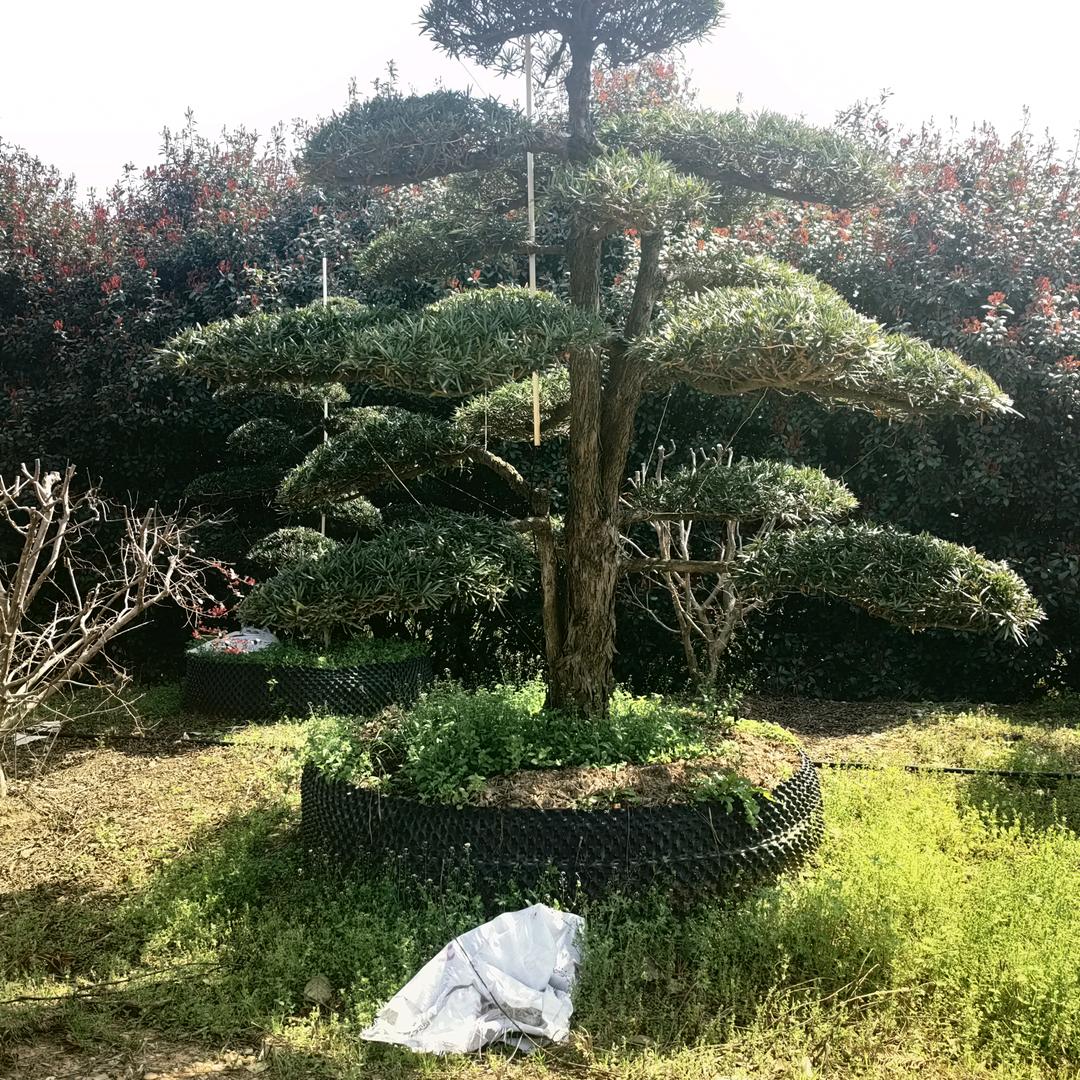 用户135699